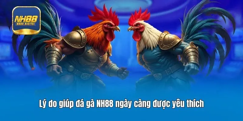 Lý do giúp đá gà NH88 ngày càng được yêu thích